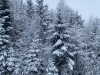 Messenger_creation_165E878B-1C2D-4DFC-9349-D75E54EF4046
