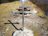 sportni_dan-19
